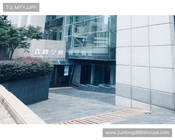 尊龙凯时地址平台官方入口地址详细介绍与访问方法